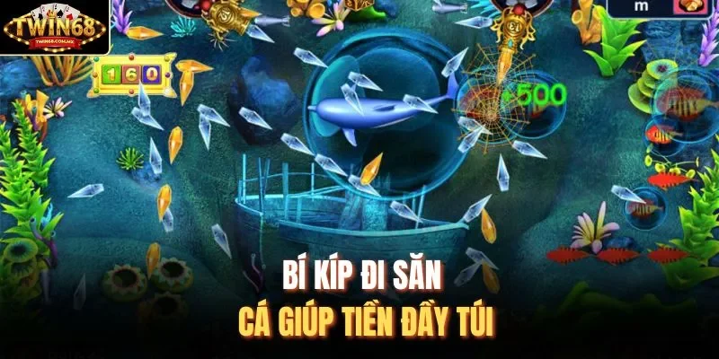 Bí kíp đi săn cá giúp tiền đầy túi