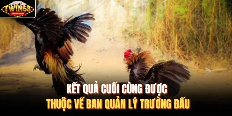Kết quả cuối cùng được thuộc về ban quản lý trường đấu