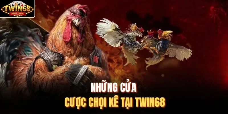 Những cửa cược chọi kê tại Twin68
