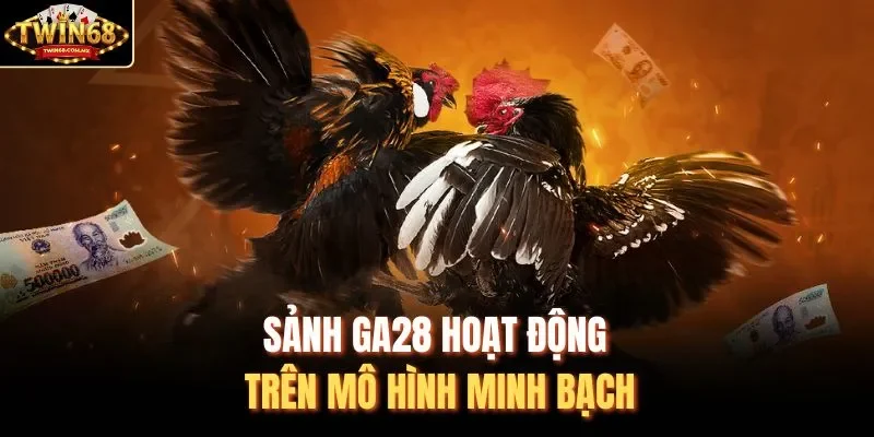 Sảnh GA28 hoạt động trên mô hình minh bạch