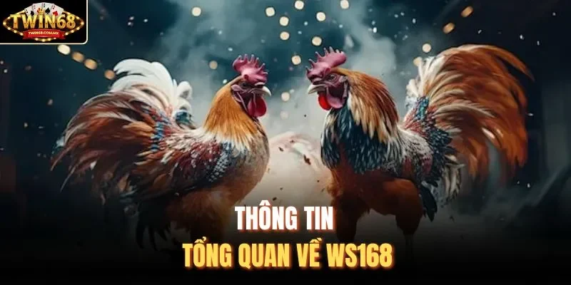 Thông tin tổng quan về WS168