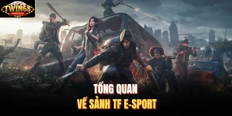 Tổng quan về sảnh TF E-SPORT